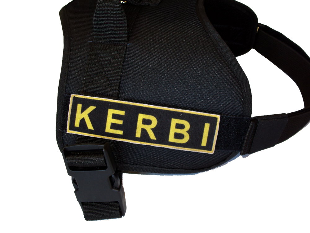 Postroj pro psa - růžový