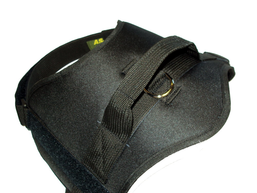 Postroj pro psa - černý